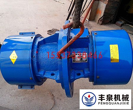 側(cè)板鑲嵌式振動(dòng)電機(jī)